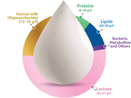 prebiotics