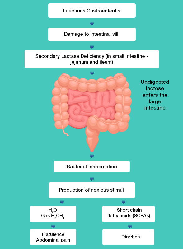 Role of casein-based nutritional supplement in management of secondary ...