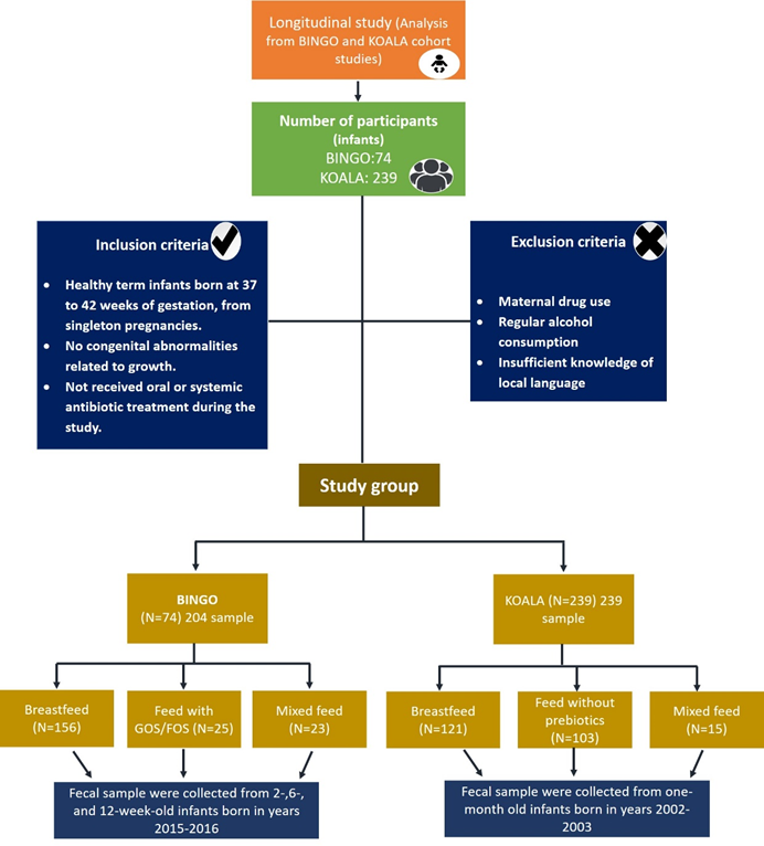 Components in Human Milk that facilitate Immunity through Gut figure 4