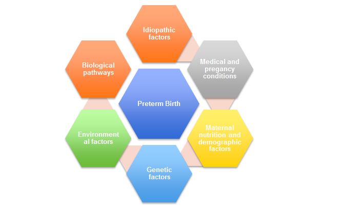 Preterm Infants