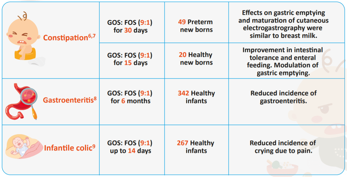 Effects of Prebiotics on Immunity figure 4