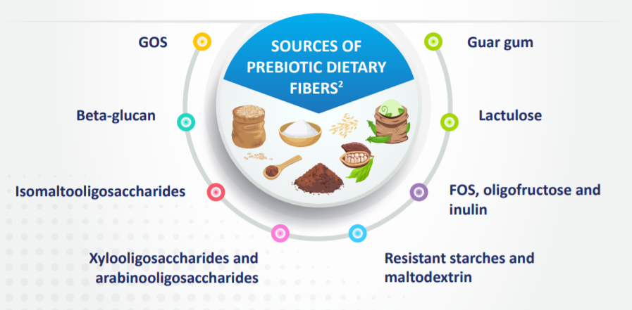 Prominent Health Benefits of Prebiotic Dietary Fibers figure 1