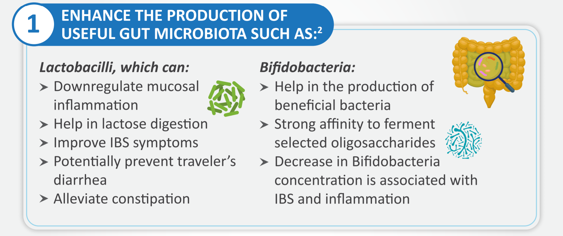 Prominent Health Benefits of Prebiotic Dietary Fibersy figure 2