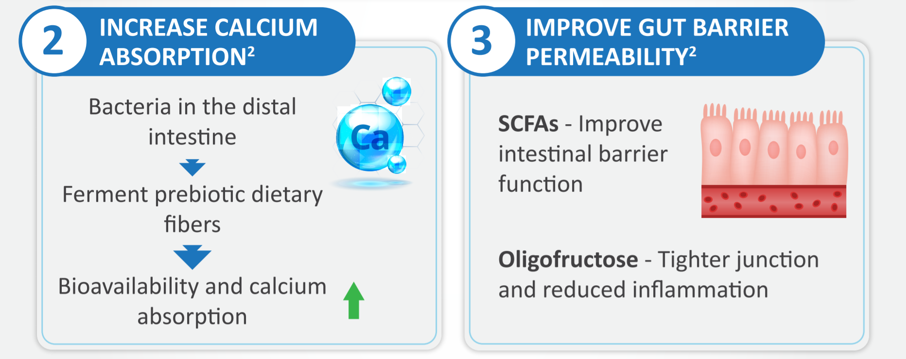 Prominent Health Benefits of Prebiotic Dietary Fibersy figure 3