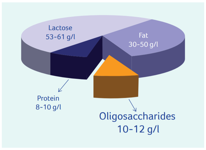 Components in Human Milk that facilitate Immunity through Gut figure 2