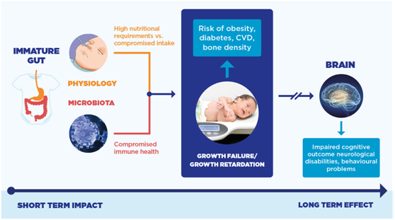Immune and Gut Microbiota Challenges of A Pre-term Infant
