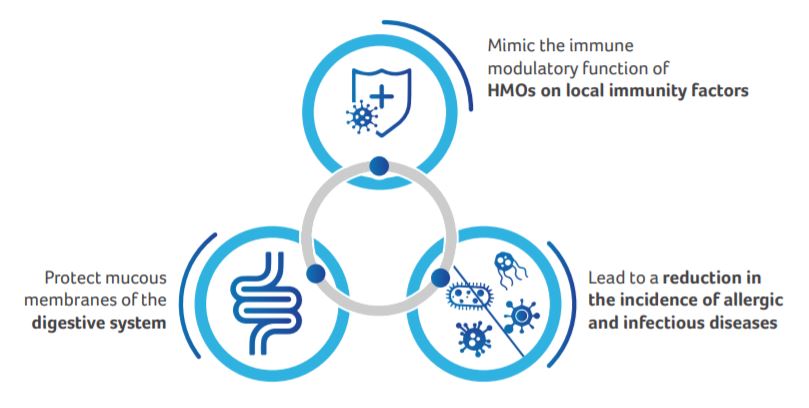 Effect of the specific infant formula mixture of oligosaccharides on local immunity and development of allergic and infectious disease in young children: randomized study figure 2
