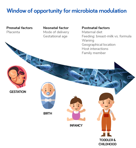 Pattern of Gut Colonization in Infants figure 1