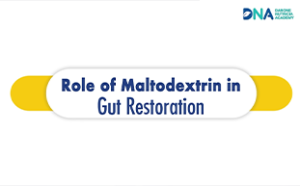 Role of Maltodextrin in Gut restoration