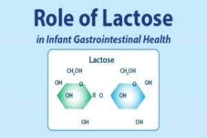 Role of Lactose in Infant GastroIntestinal Health