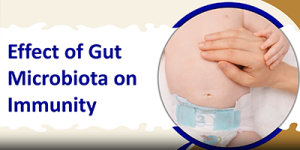 gut microbiota