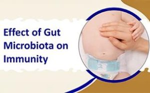 microbiota to immunity