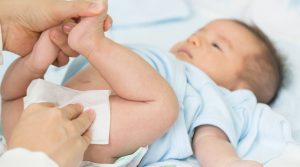 role of prebiotics on stool characteristics